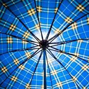 普叶的个人资料头像