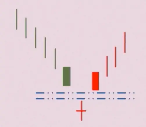 “ 弃婴 ”启明星