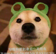 zeinber的个人资料头像