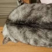 diyu的个人资料头像