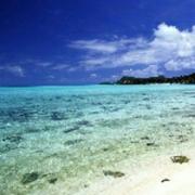 喂我袋盐的个人资料头像