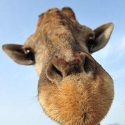 七度的个人资料头像