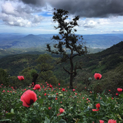 willblue的个人资料头像