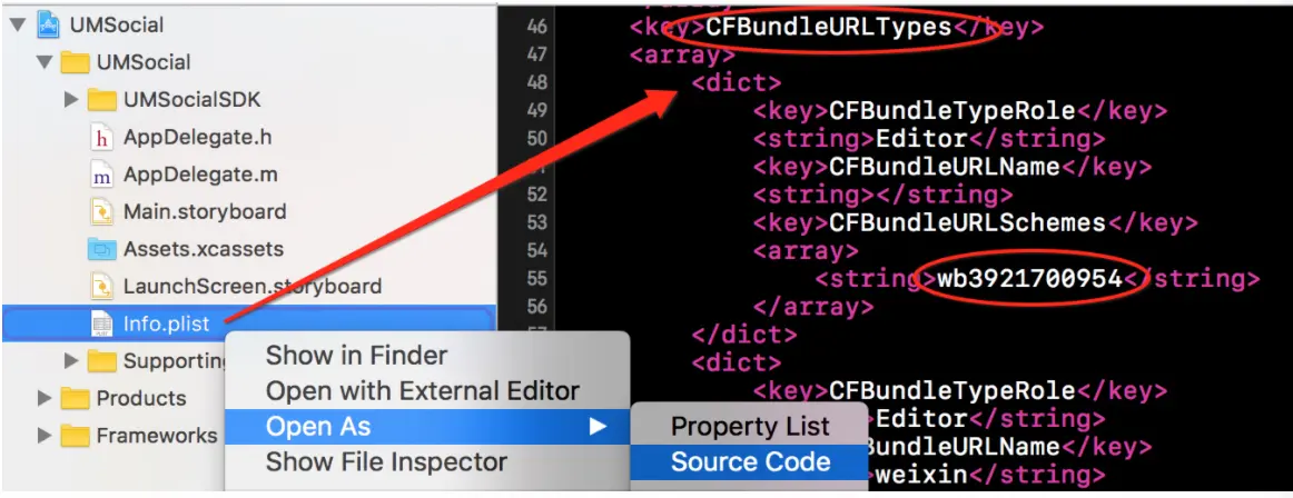直接编辑info.plist中XML代码