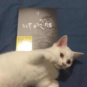 爱吃山楂的猫的个人资料头像