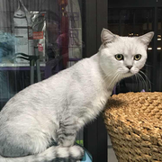 qiuhanrui的个人资料头像