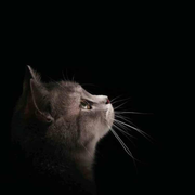 DenverB的个人资料头像