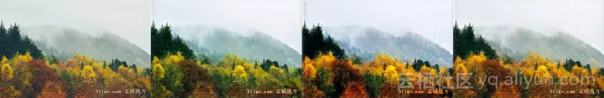 94821b8317c57e8235898076413541a89ebe44e5