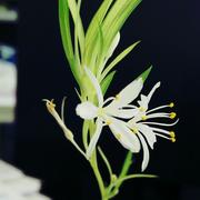 颜值即正义的个人资料头像