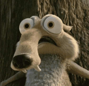 粮食和蔬菜的个人资料头像