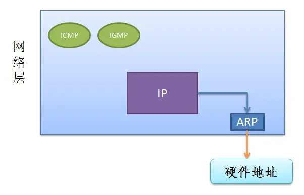 ARP
