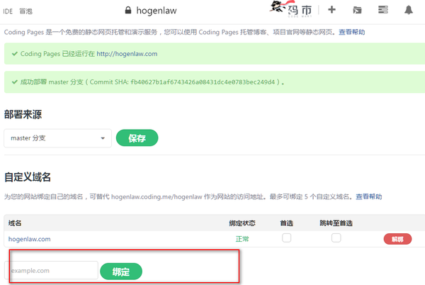 coding 绑定私有域名