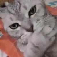 用户2995097823261于2017-12-29 19:49发布的图片