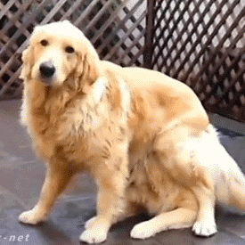 OutMan于2017-12-29 19:58发布的图片