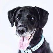 隐形人Wendy的个人资料头像