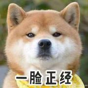子不语卿的个人资料头像