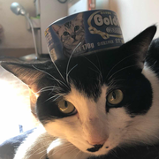 DavidWei7845的个人资料头像