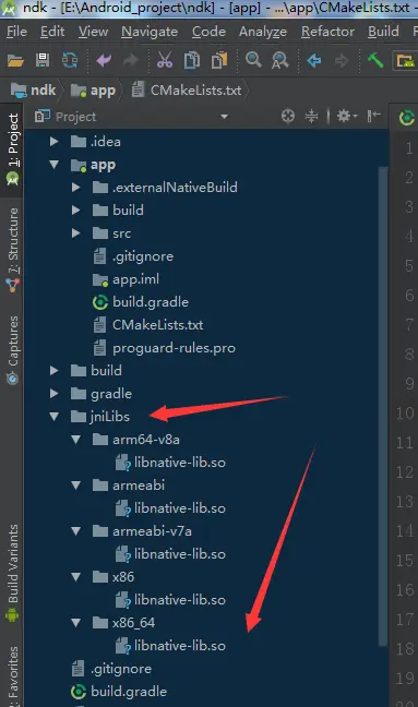 build-->make project结果展示
