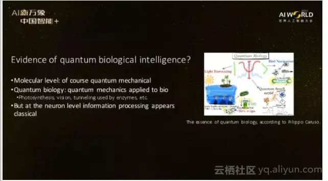 bd69c236a038c0d12c7d88c0e37e236847d4e72b