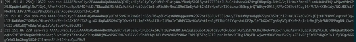 known_hosts文件内容