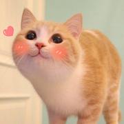 狐小鱼七七的个人资料头像