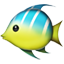 :tropical_fish: