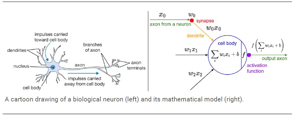 此处输入图片的描述