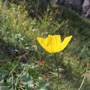 lhgcore的个人资料头像