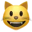 :smiley_cat: