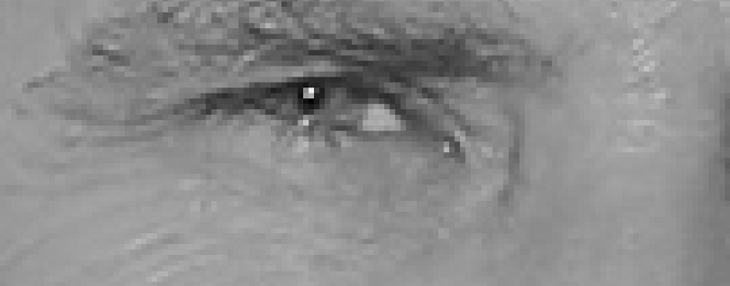 机器学习并没有那么深奥，它很有趣（4）