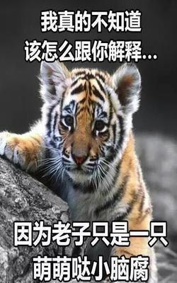 小脑腐
