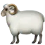 :sheep: