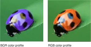 color_profiles