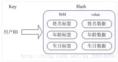hashs存储结构图