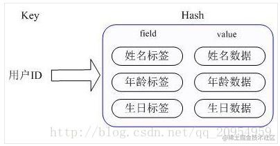 hashs存储结构图