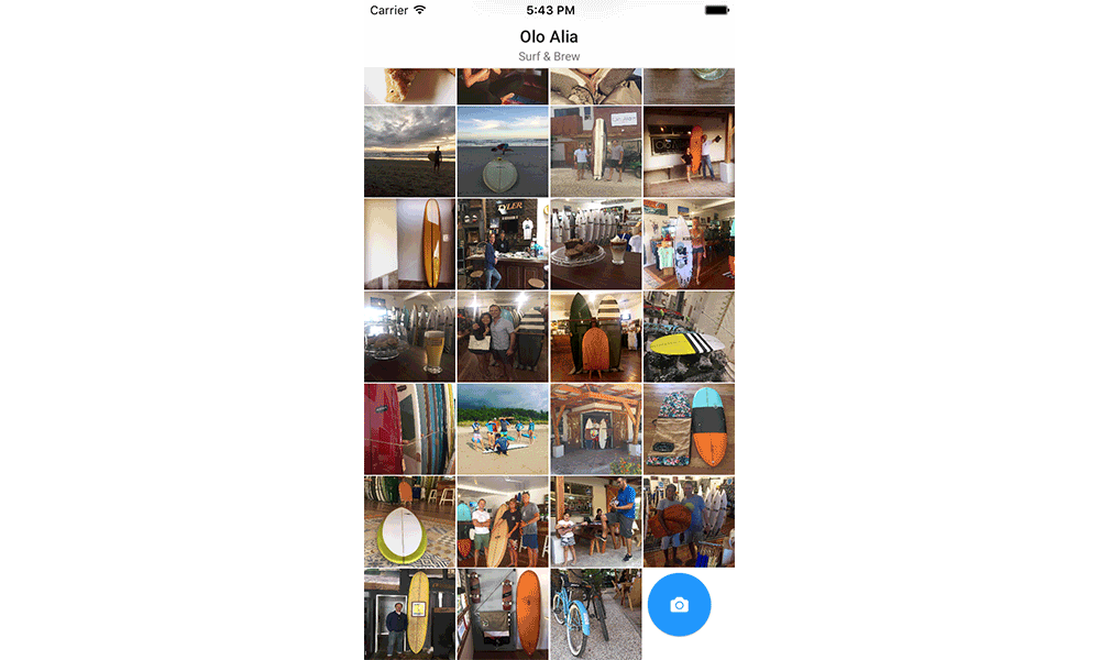Motion Photo Collection Sample