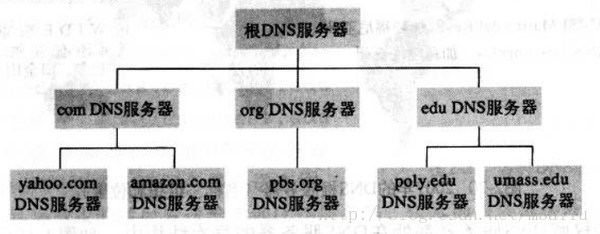 DNS服务器类型
