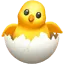 :hatching_chick: