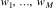 $w_1, \dots, w_M$