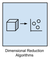 Dimensional Reduction Algorithms