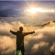 城中小鱼的个人资料头像