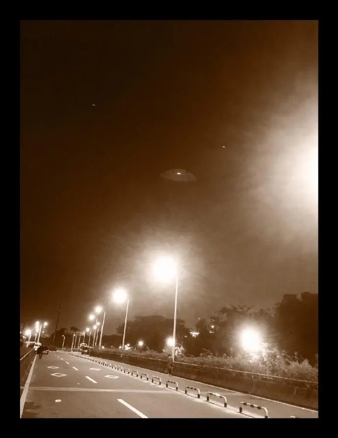 拍摄于深圳大沙河公园