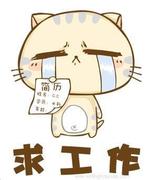 丁尼格菲先生的个人资料头像