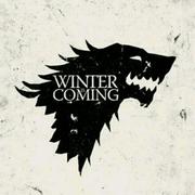 蓝色石头的个人资料头像