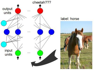 使用打过标记的数据来训练神经网络