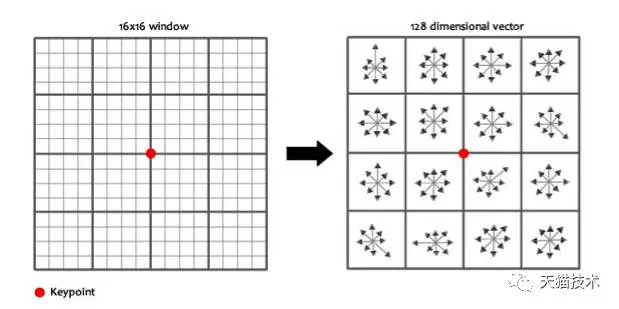640?wx_fmt=png&wxfrom=5&wx_lazy=1