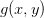 g(x,y)