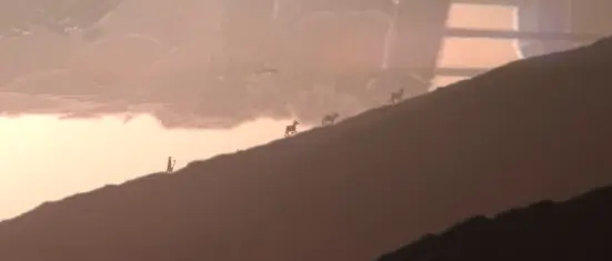 A goatherd with his friends.