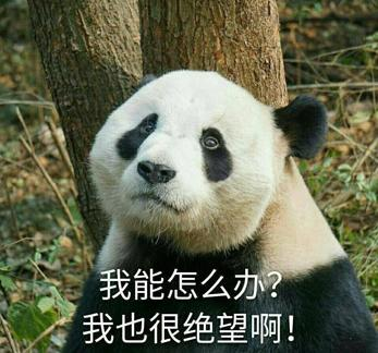wuli 滚滚