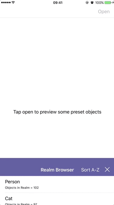 Realm Browser by Max Baumbach (iOS)